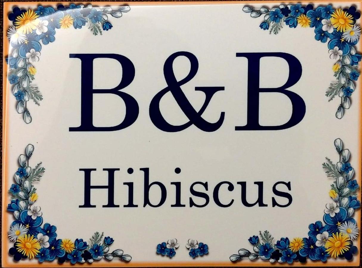 B&B Hibiscus Порто-Сант'Эльпидио Экстерьер фото